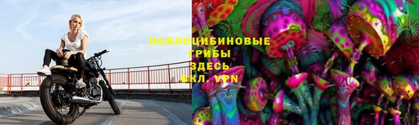 СК Ладушкин