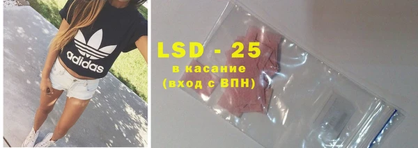 прущие грибы Лагань