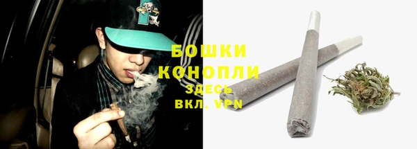 прущие грибы Лагань