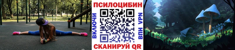 Галлюциногенные грибы мицелий  Купить где  Киржач 